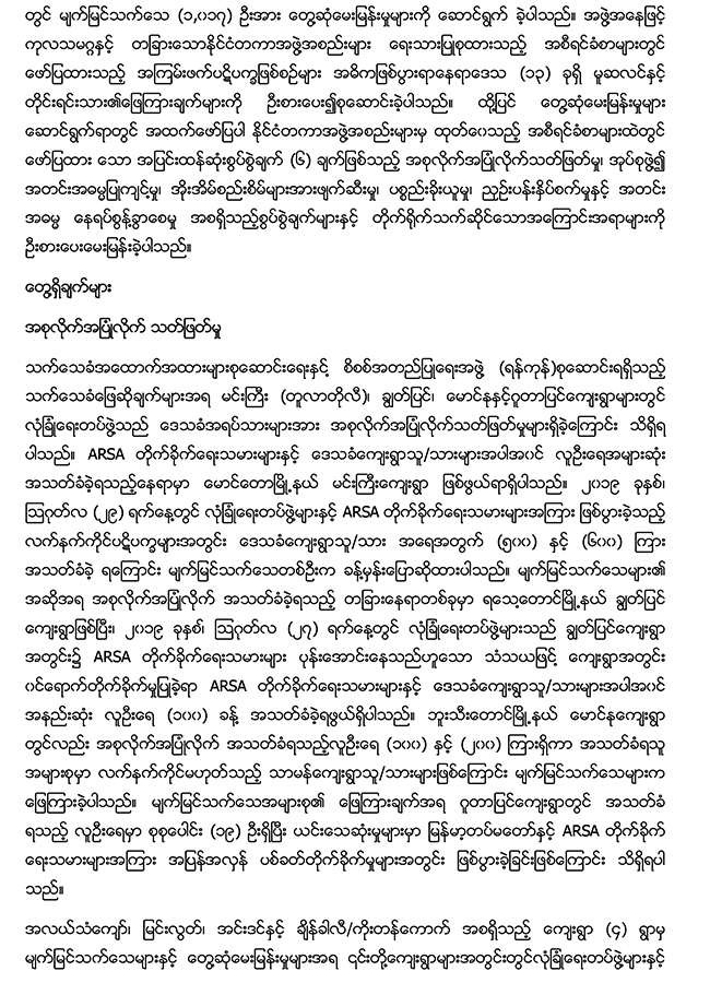 executive-summary-icoe-myan