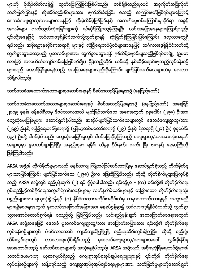 executive-summary-icoe-myan